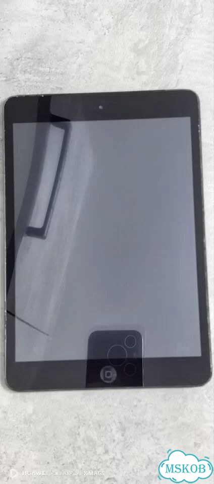 iPad mini 4 cellular фото 4