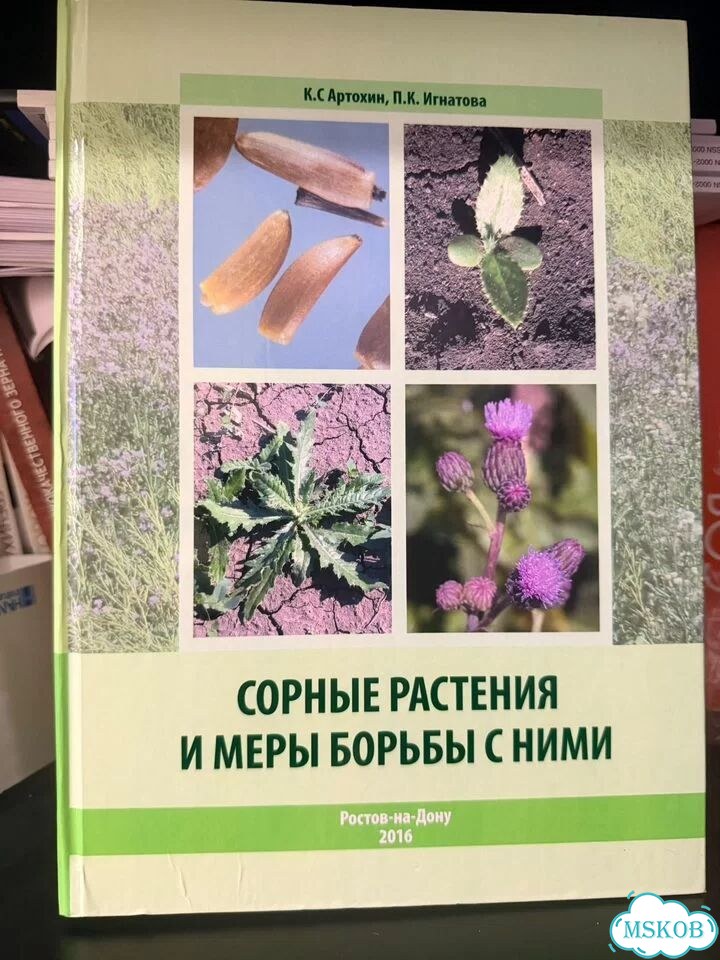 Сорные растения и меры борьбы с ними фото 1