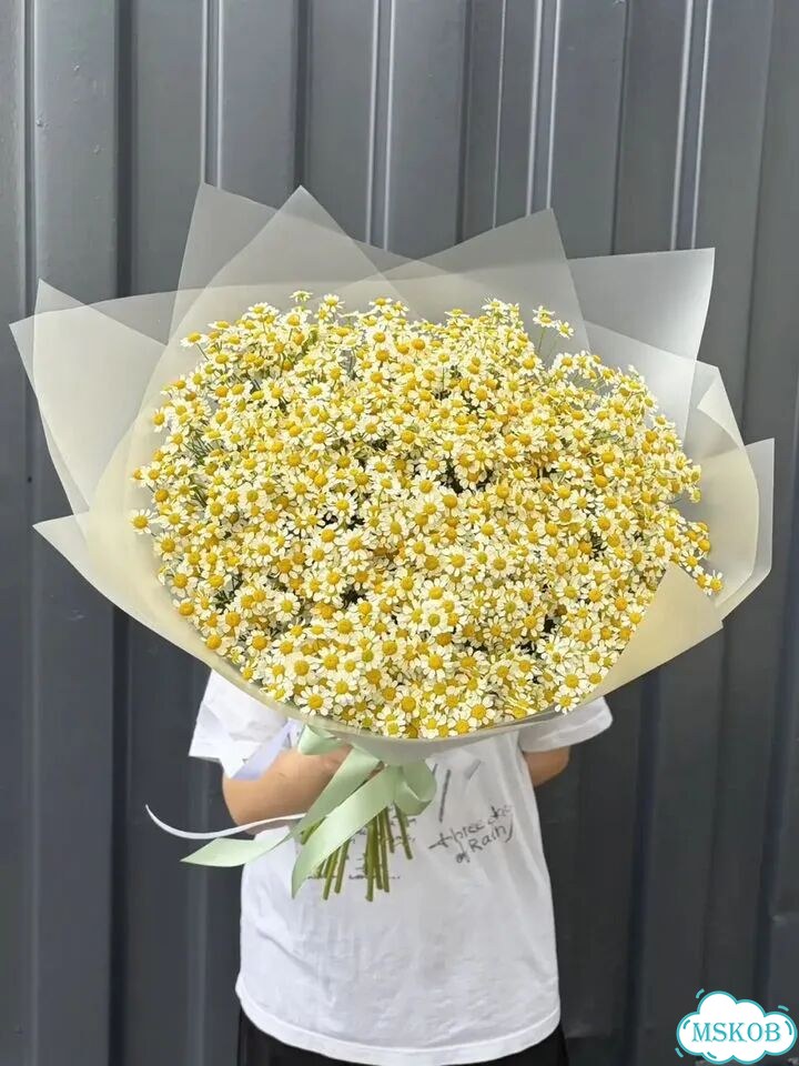 Букет Ромашки Цветы фото 2
