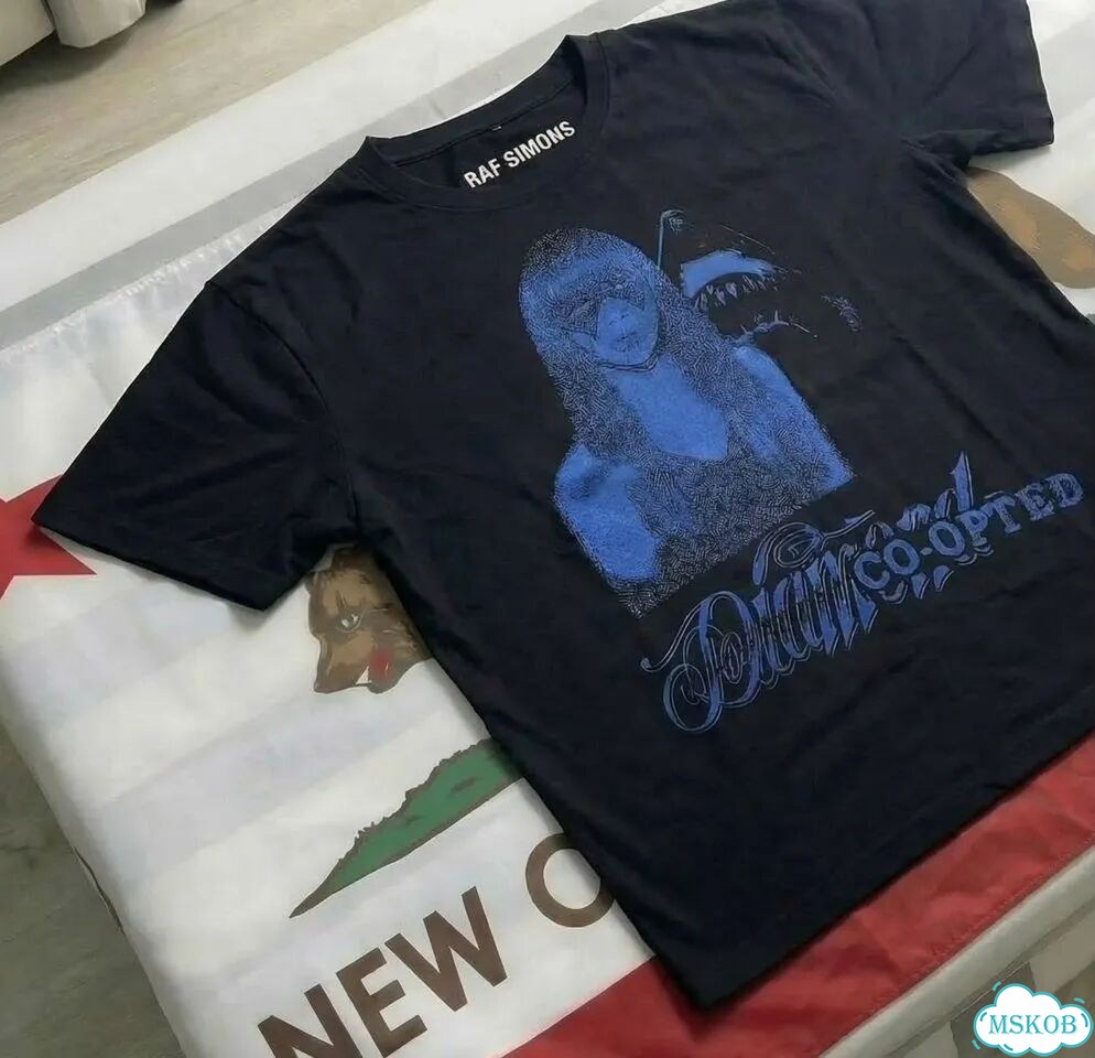 Футболка RAF Simons restricted r blue фото 4