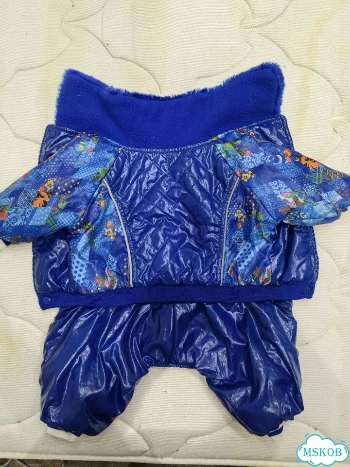 Одежда для маленьких собак фото 1