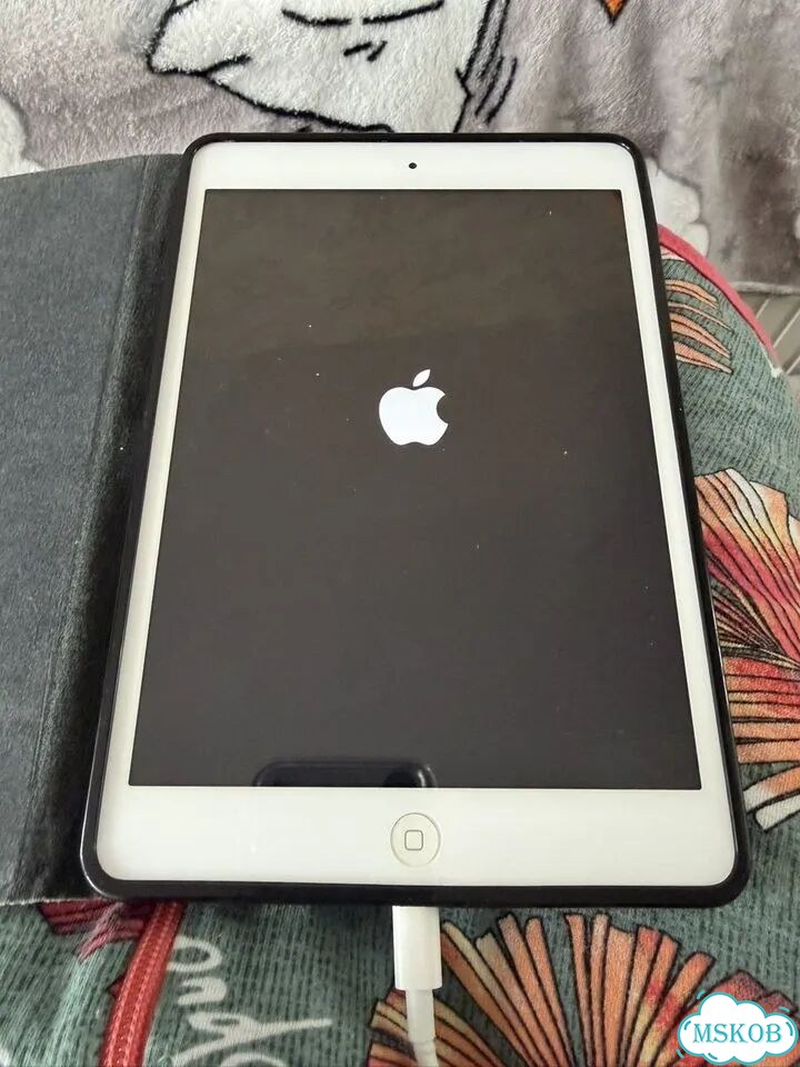 iPad mini 2 фото 1