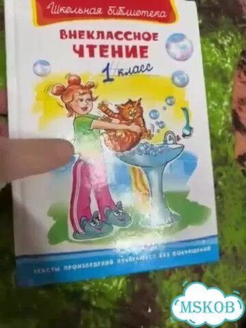Внеклассное чтение 1 класс школьная библиотека фото 1