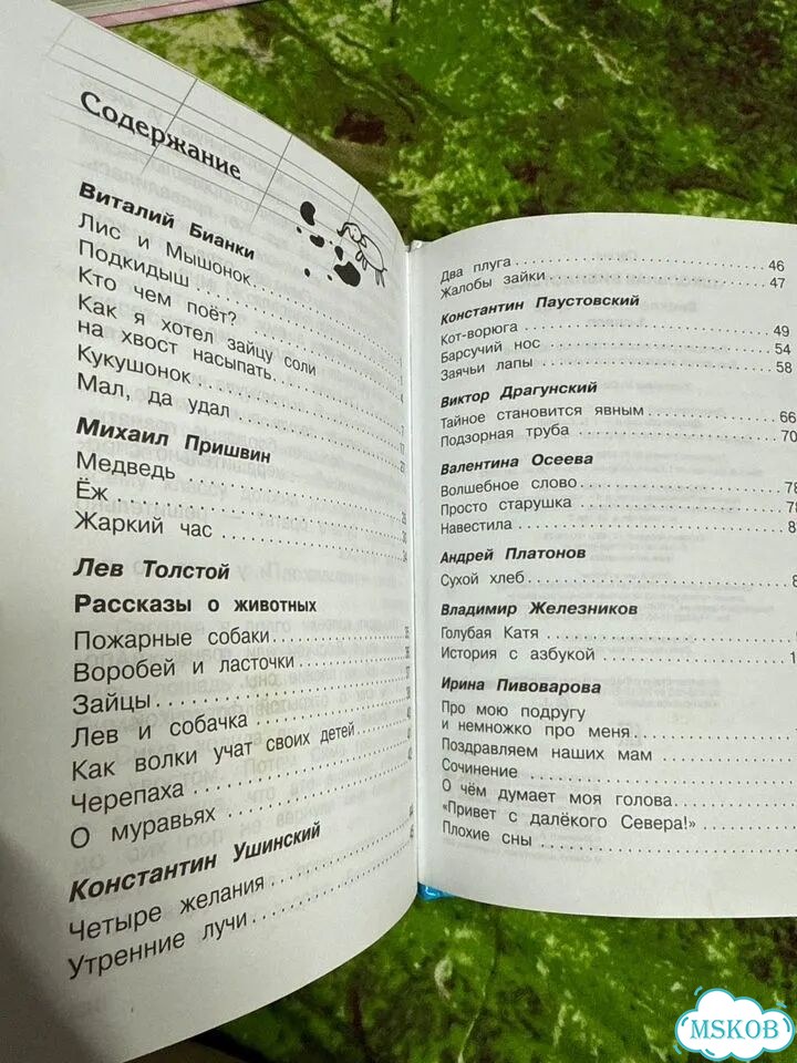 Внеклассное чтение 1 класс школьная библиотека фото 6