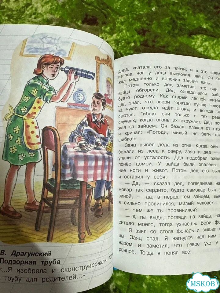 Внеклассное чтение 1 класс школьная библиотека фото 8