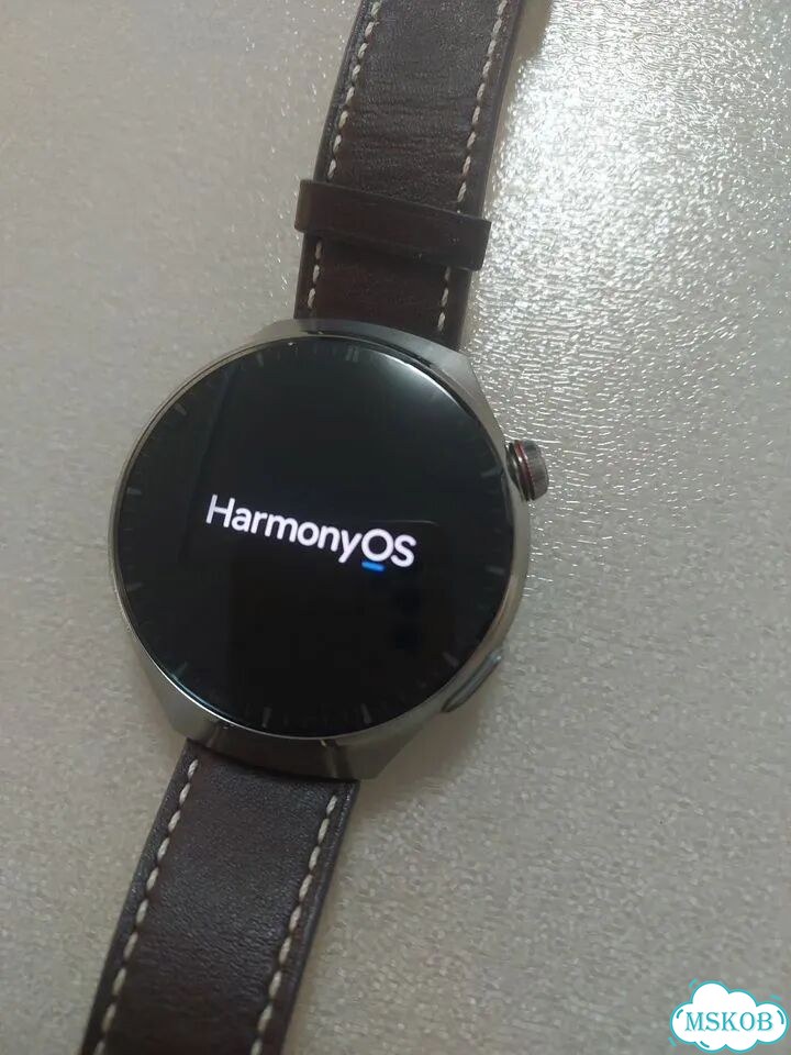 Часы huawei Watch 4 Pro Medes-L19L фото 1