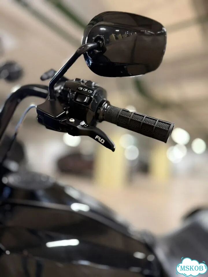 Harley-Davidson Road Glide, 2024, 13 000 км фото 10