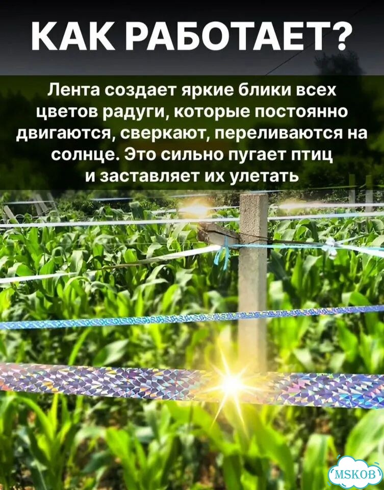 Светоотражающая лента от птиц для дачи или сада фото 2