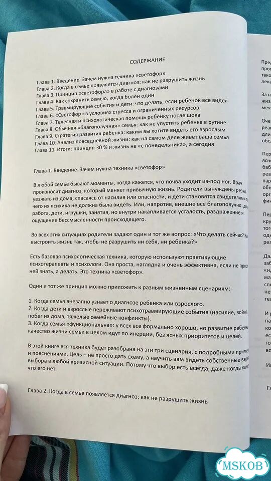 Как выстроить жизнь С ребёнком В кризисные моменты Валентина Паевская фото 2