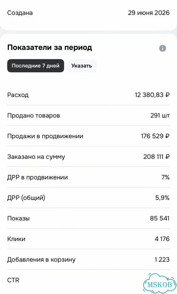Менеджер-аналитик рекламных кабинетов Ozon фото 6