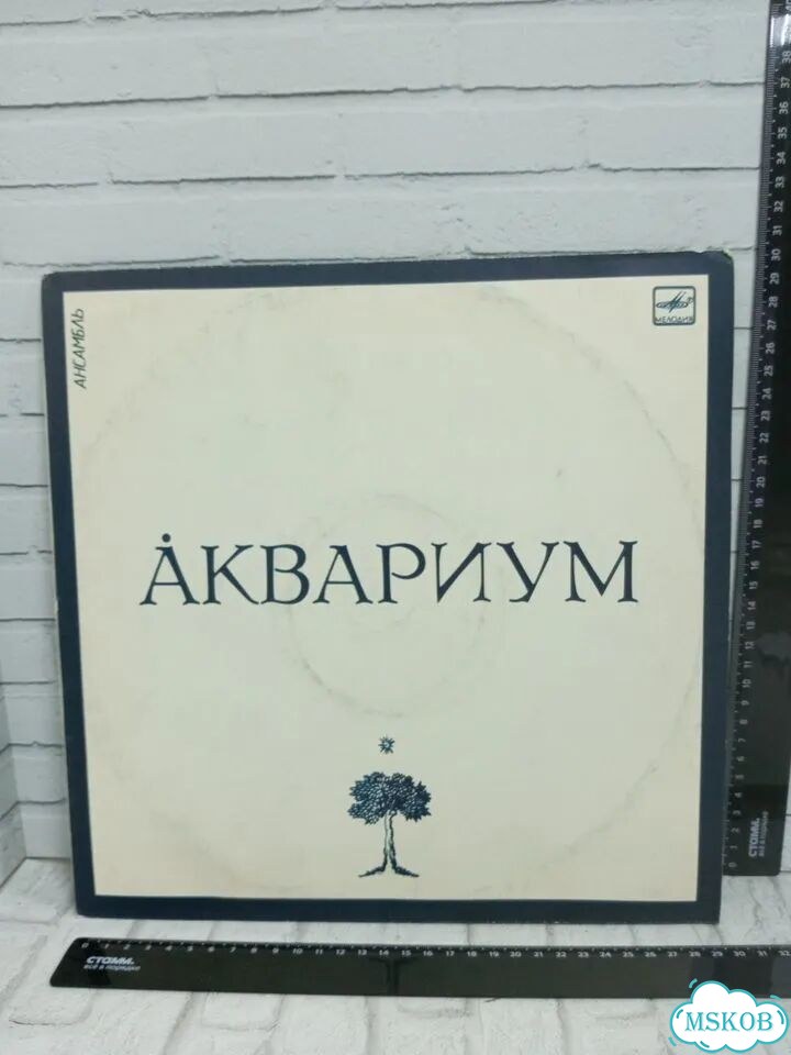 Вин. пластинка Ансамбль Аквариум Год выпуска 1987 фото 1