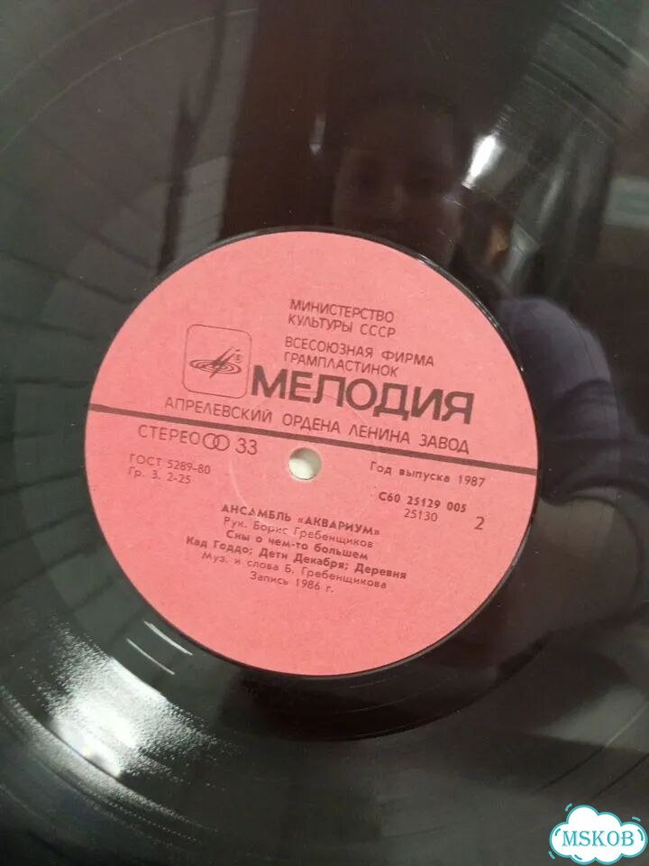 Вин. пластинка Ансамбль Аквариум Год выпуска 1987 фото 3