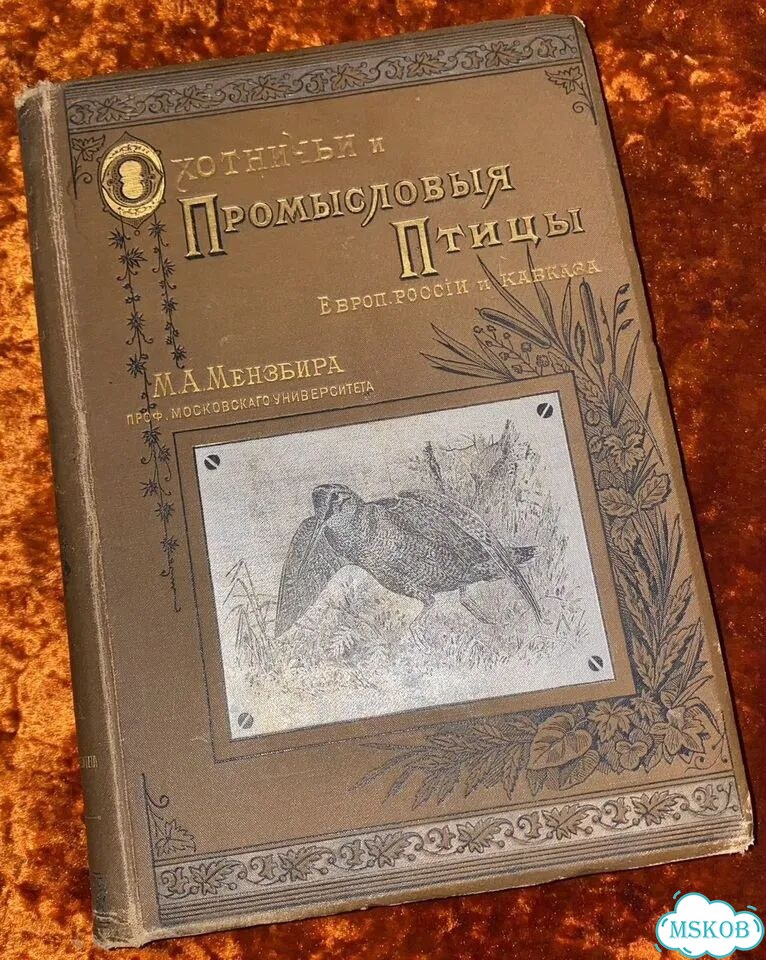 Мензбир Охотничьи и промысловые птицы 1902 год фото 1