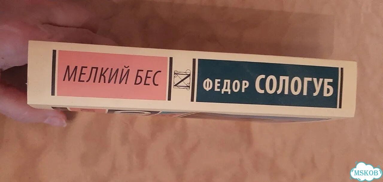 Федор Сологуб — Мелкий бес фото 2