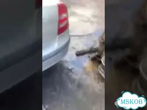 Патрубок охлаждения Skoda Octavia 1U фото 2