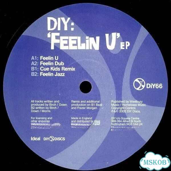 DiY - 'Feelin U' EP фото 1