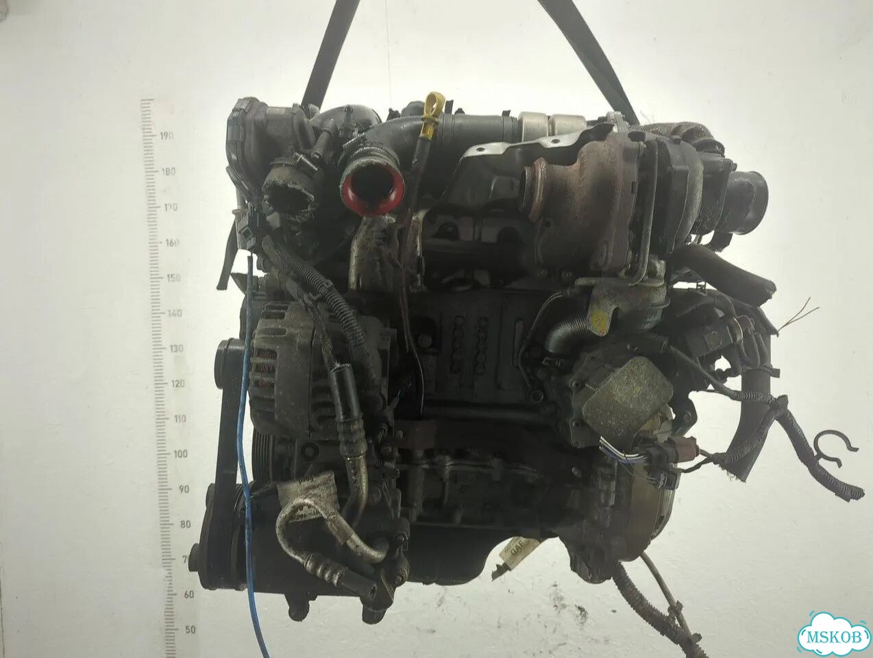 Двигатель Ford Focus 3 T1DB фото 1