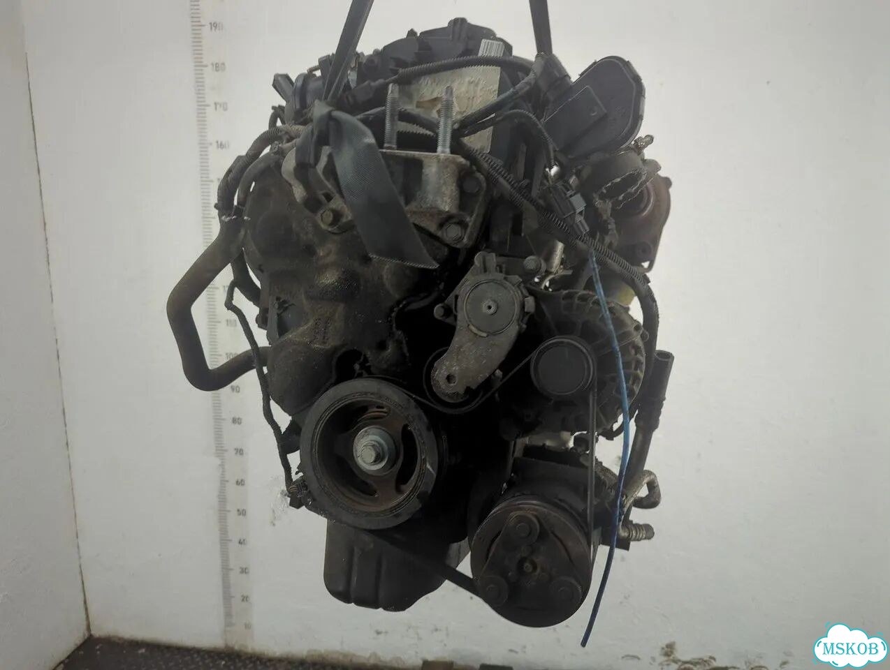 Двигатель Ford Focus 3 T1DB фото 10