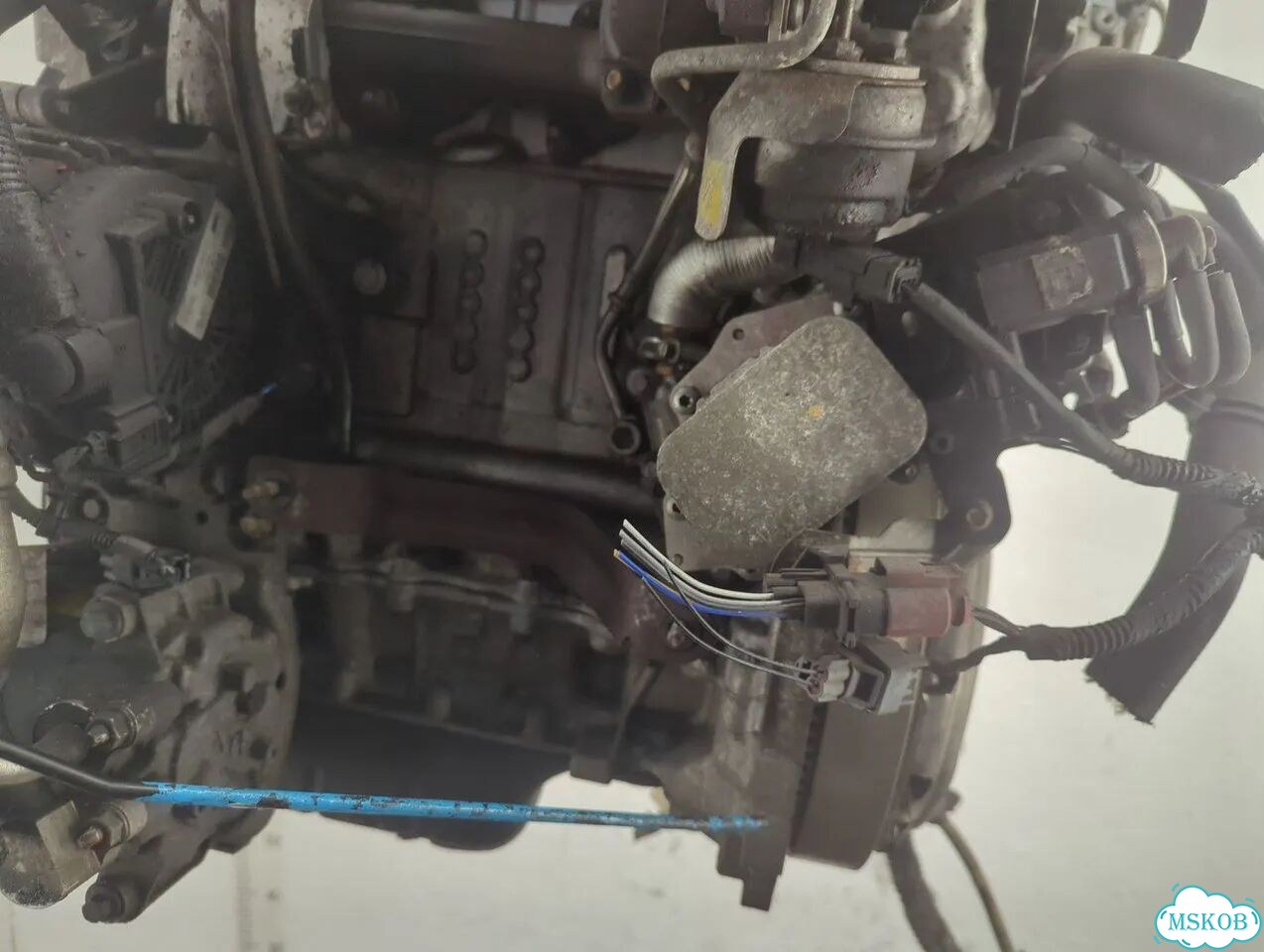 Двигатель Ford Focus 3 T1DB фото 4