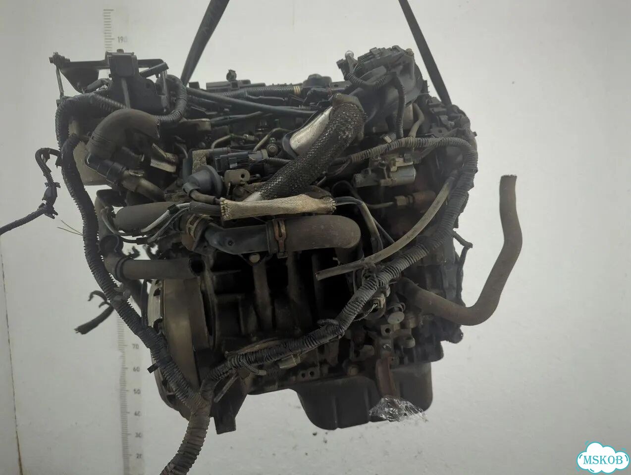 Двигатель Ford Focus 3 T1DB фото 9