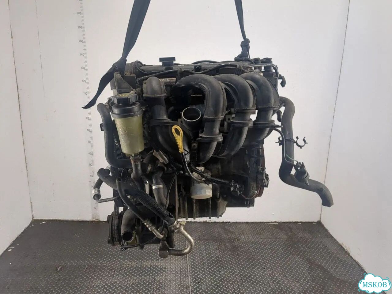 Двигатель Ford Focus 2 hwda, hwdb фото 3