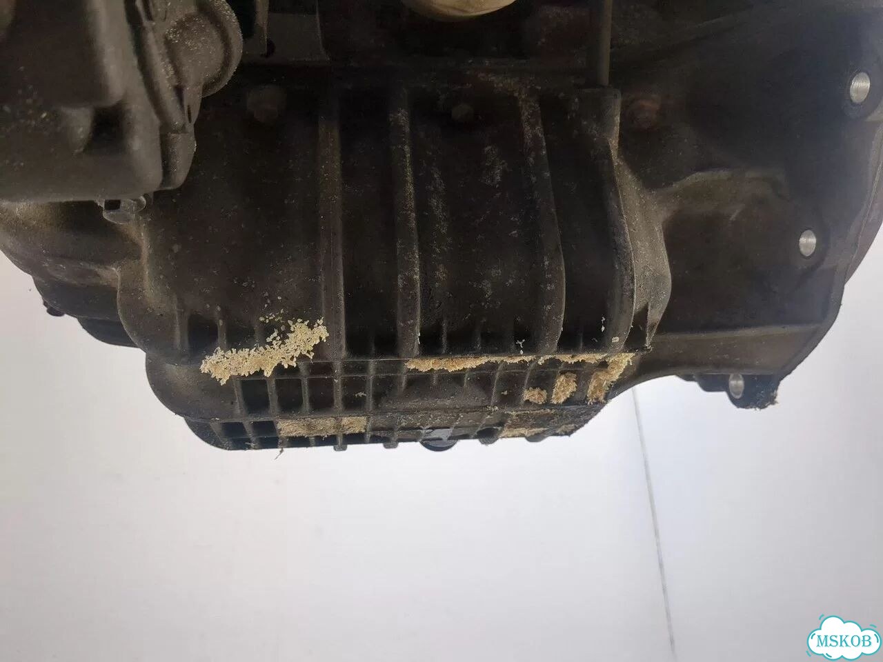 Двигатель Ford Focus 2 hwda, hwdb фото 8