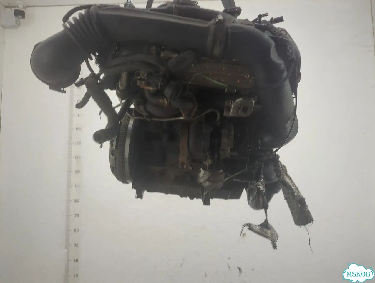 Двигатель Dodge Caliber ECD, ECE фото 3