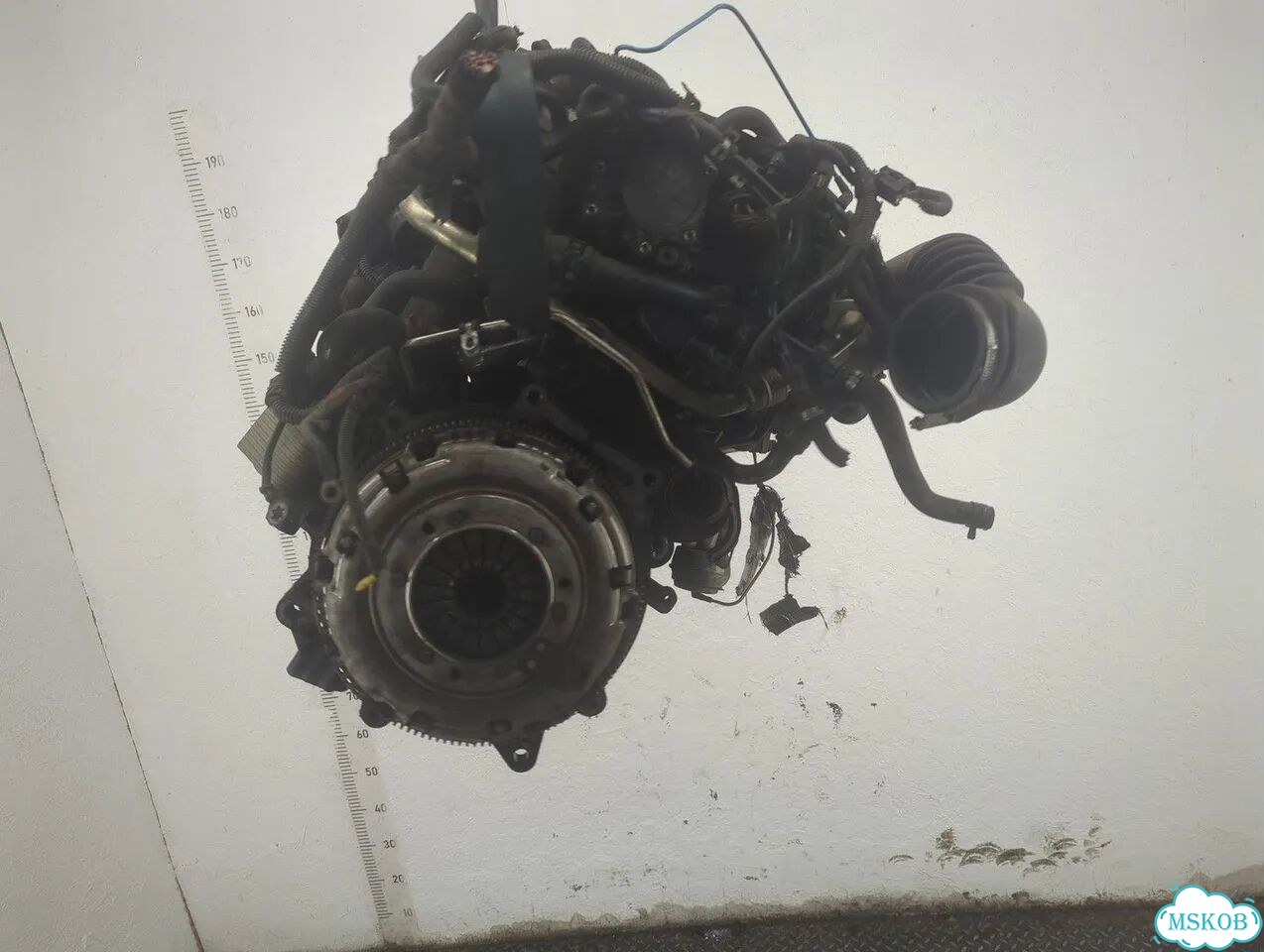 Двигатель Dodge Caliber ECD, ECE фото 4