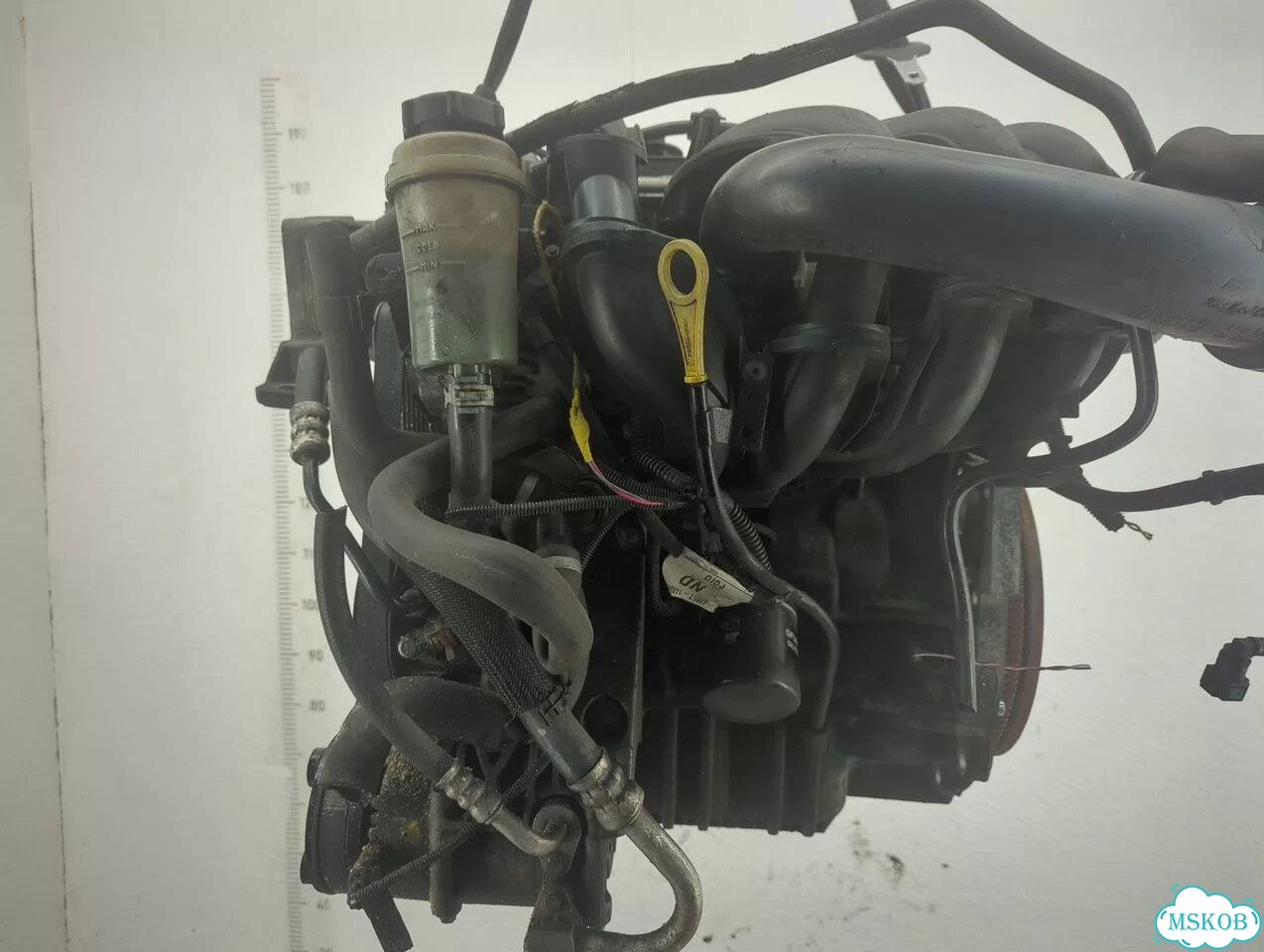 Двигатель Ford Focus 2 hwda, hwdb фото 1