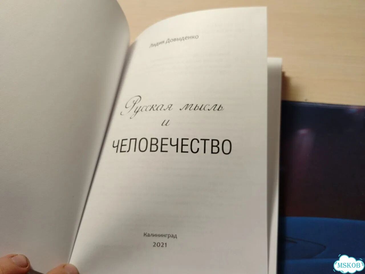 Русская мысль и человечество Лидия Довыденко фото 5