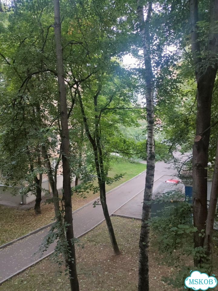2-к. квартира, 43 м², 3/5 эт. фото 32