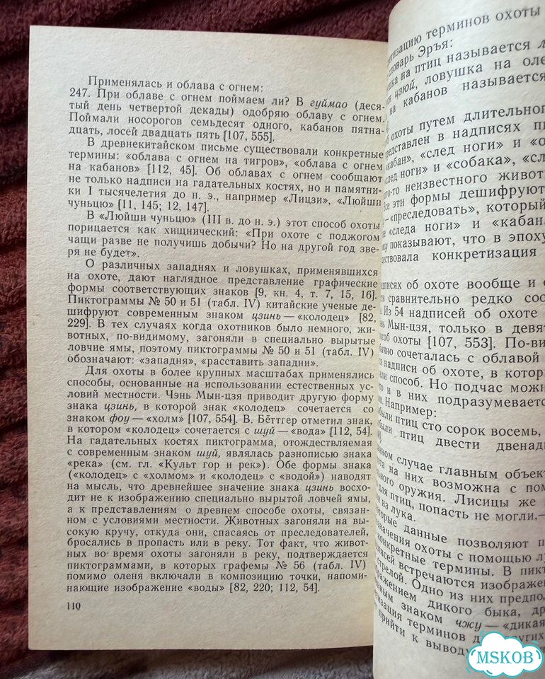 «Опыт дешифровки китайского письма» / Серкина фото 3