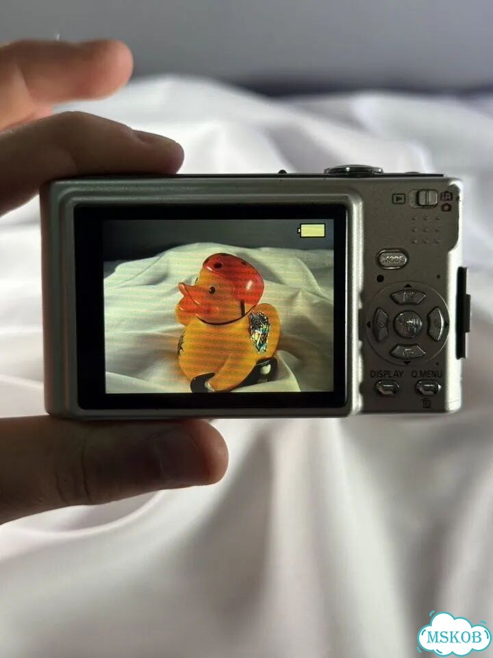 Panasonic lumix dmc fs5 фото 4