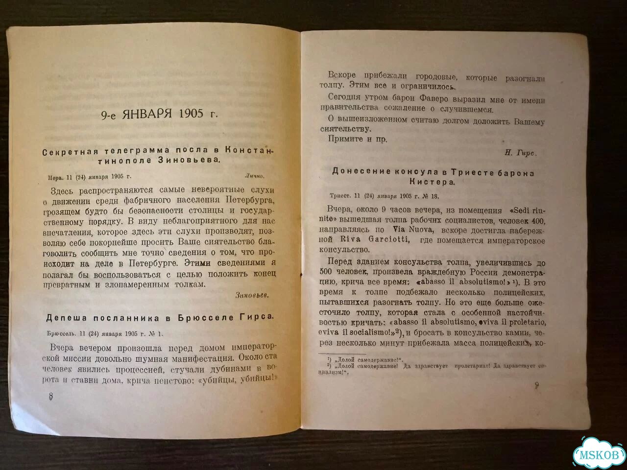 Царские послы о 1905 годе фото 4