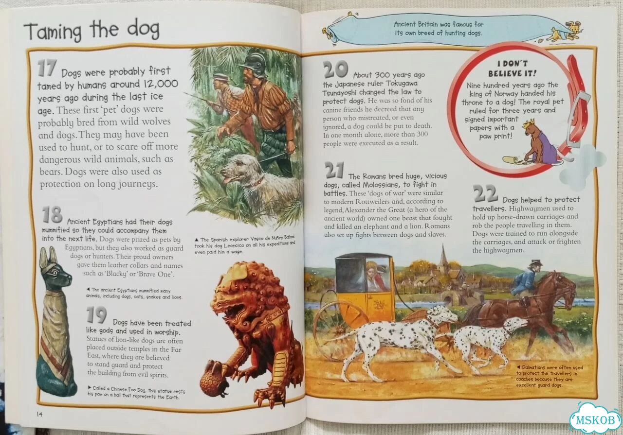 10 познавательных книжек на английском фото 7