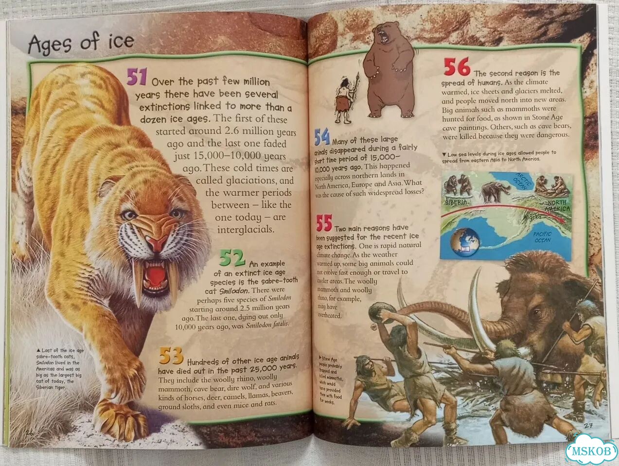 10 познавательных книжек на английском фото 8