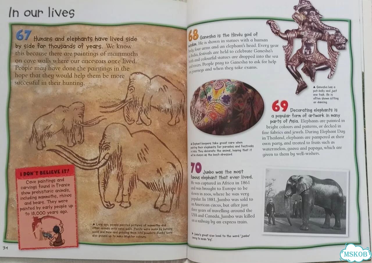 10 познавательных книжек на английском фото 9