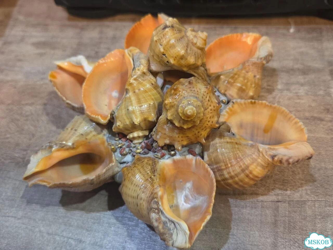 Ваза из морских ракушек СССР фото 1