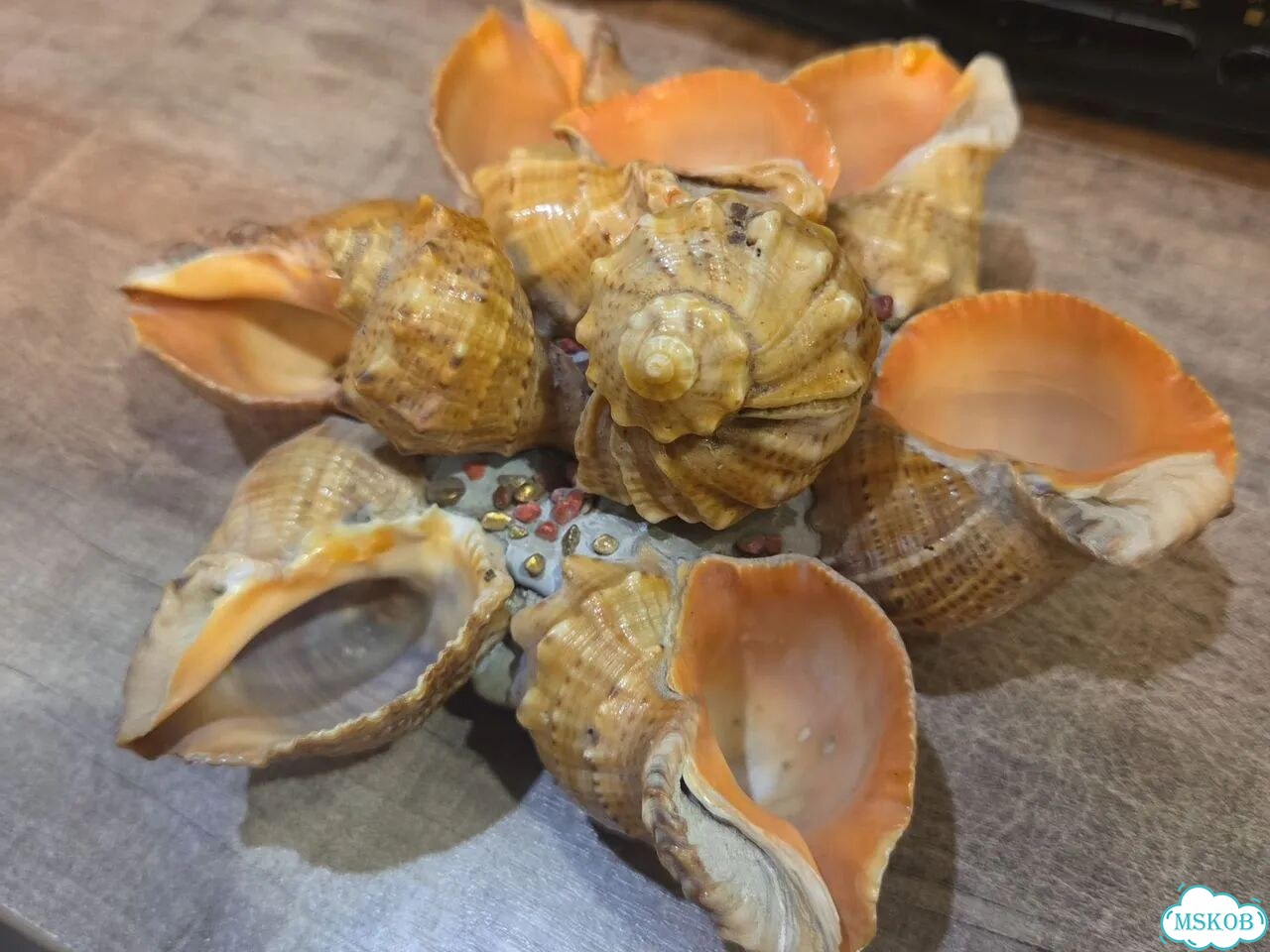 Ваза из морских ракушек СССР фото 2