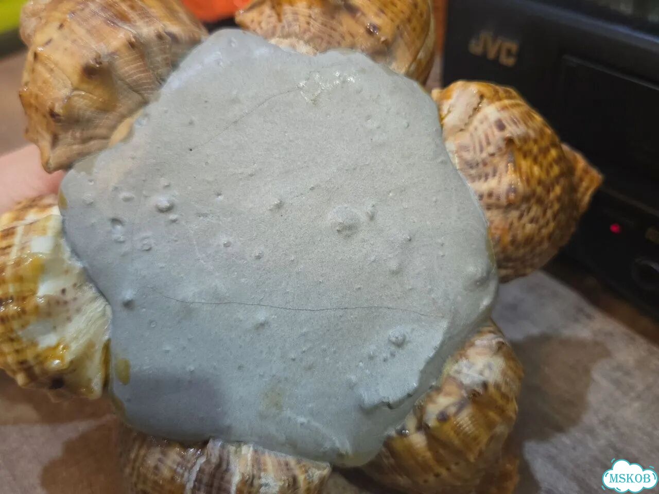 Ваза из морских ракушек СССР фото 4