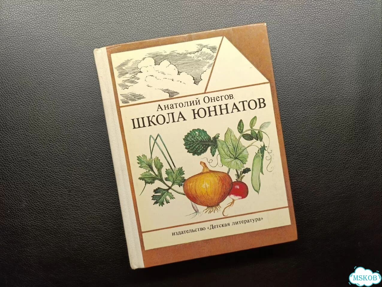 Онегов. Школа юннатов. 1982 фото 1