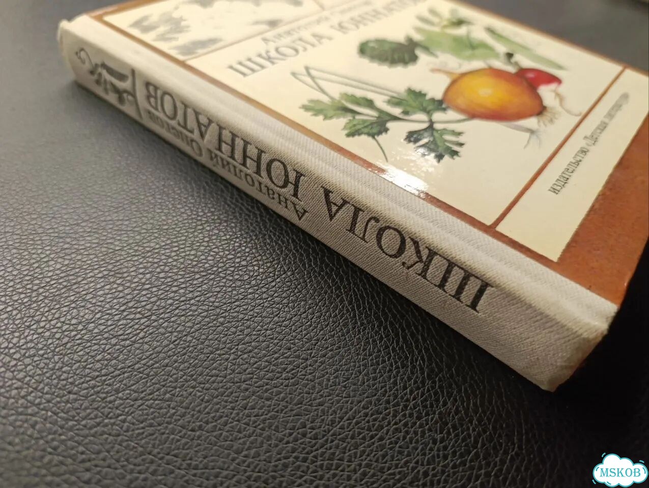Онегов. Школа юннатов. 1982 фото 3