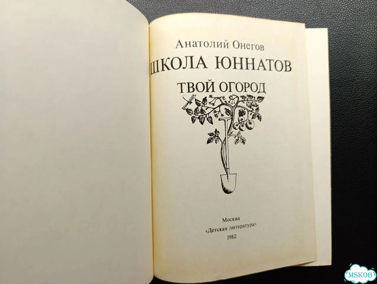 Онегов. Школа юннатов. 1982 фото 5