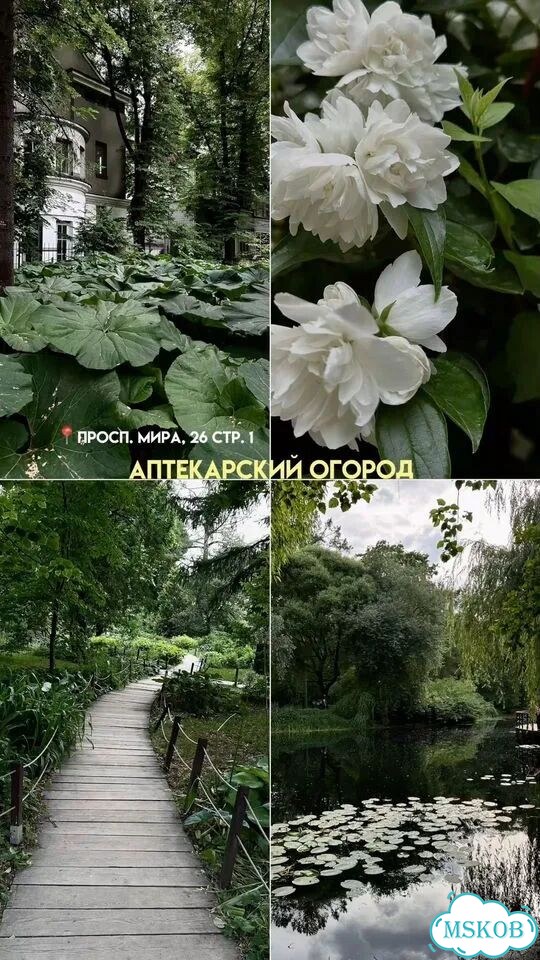 Фотограф на iPhone фото 9