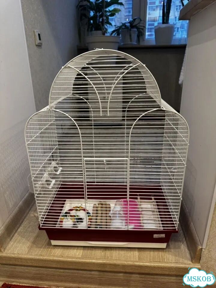 Продам клетку для попугая Inter zoo pet products фото 1