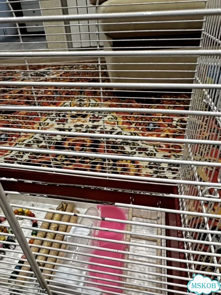 Продам клетку для попугая Inter zoo pet products фото 3