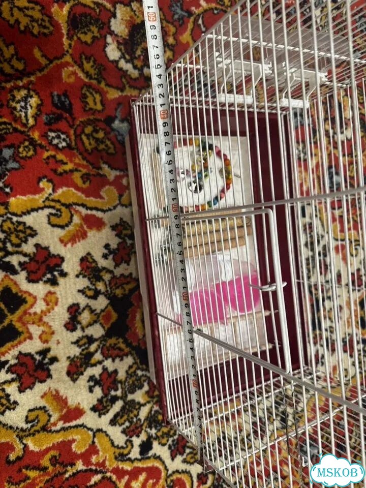 Продам клетку для попугая Inter zoo pet products фото 7