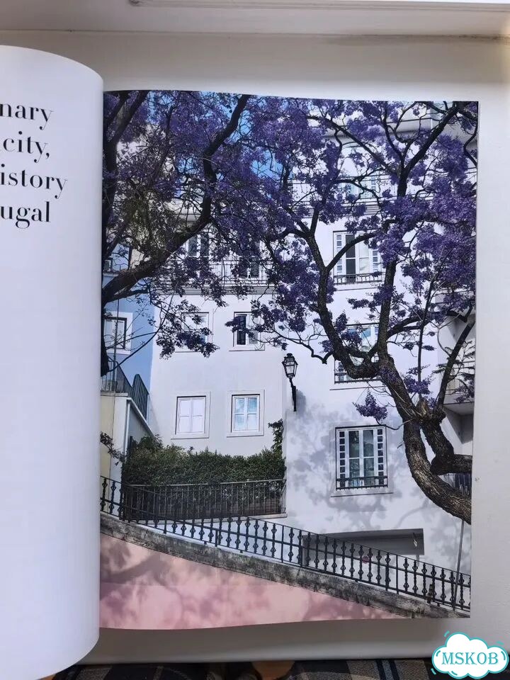 Lisboa Luz / Свет Лиссабона фото 4