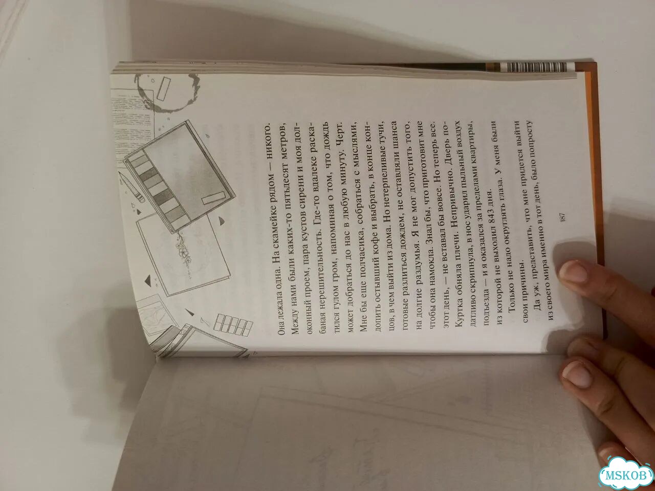 До встречи в книжном фото 2