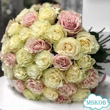 Цветы Тюльпаны фото 2